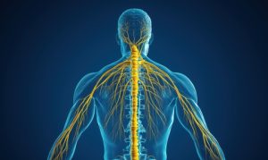 Are Spinal Cord Stimulators The Same As Peripheral Nerve Stimulators?